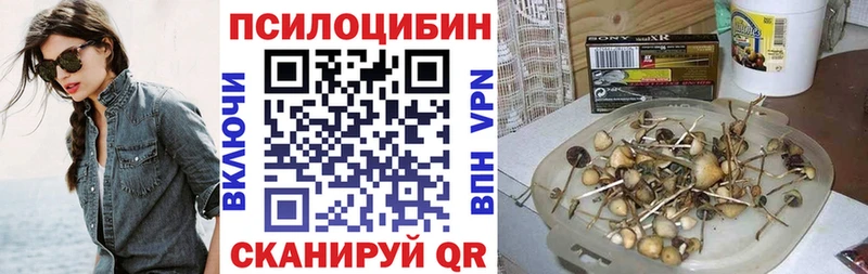 Галлюциногенные грибы Psilocybe  это официальный сайт  Электросталь 